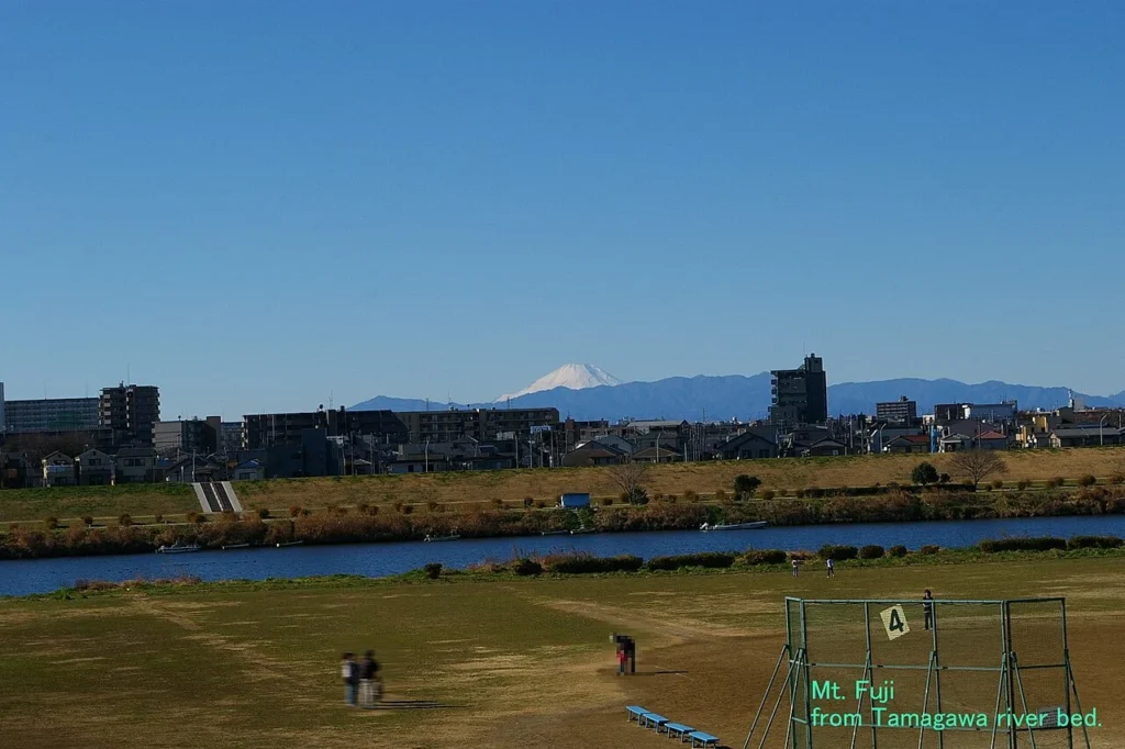 東京の多摩川河川敷を撮影した写真