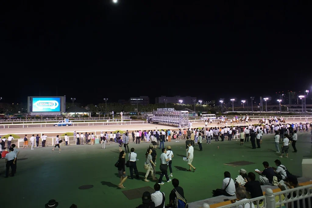 夜間に撮影された東京シティ競馬の大井競馬場