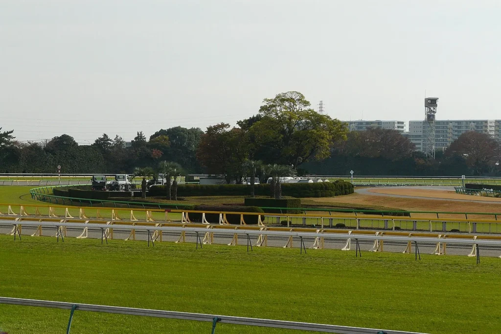東京競馬場の写真