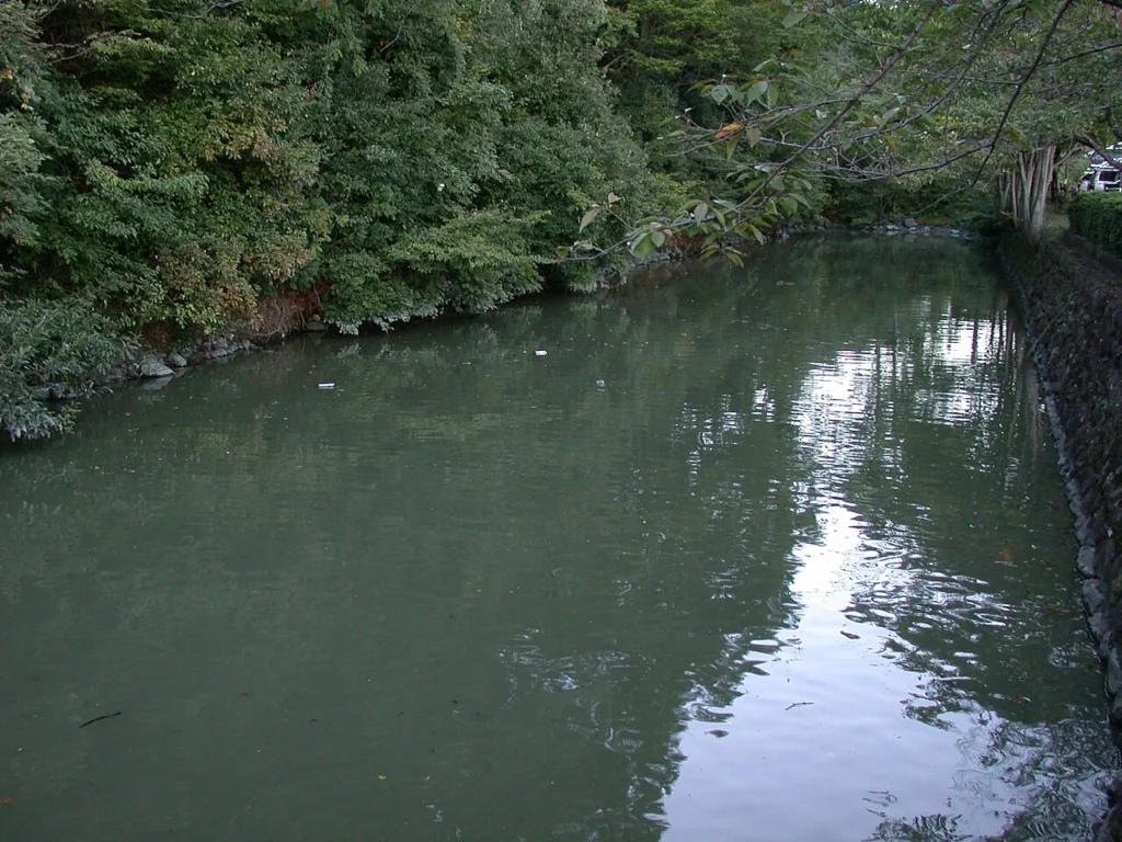 躑躅ヶ崎館の水堀の写真