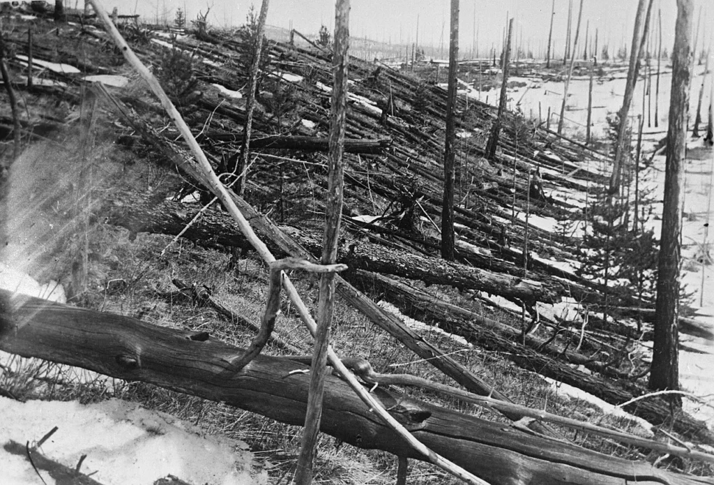 ツングースカ大爆発で倒れた森林を写した写真