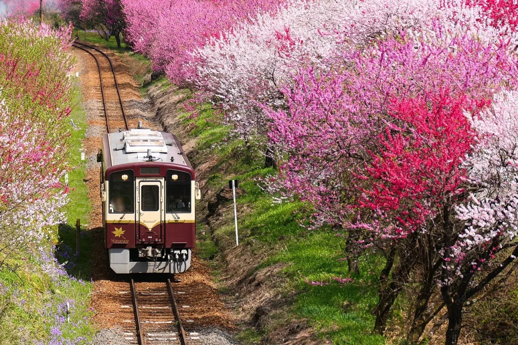 山間部を走るわたらせ渓谷鐵道の列車