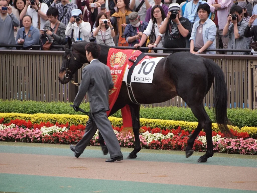 競走馬ウイニングチケットの写真