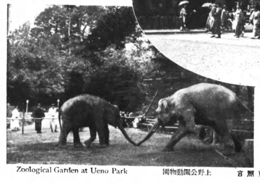 昭和初期の上野動物園の園内