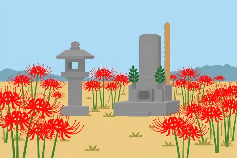 お墓のそばに咲く赤い花