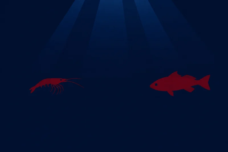 深海の赤い色