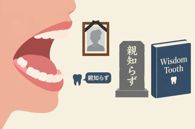 親知らずの名前